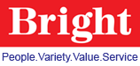 Bright Technologies Logo