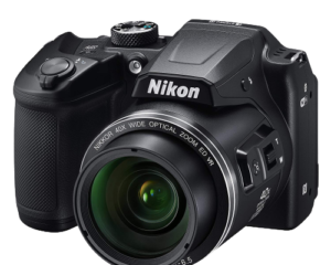 Nikon B500